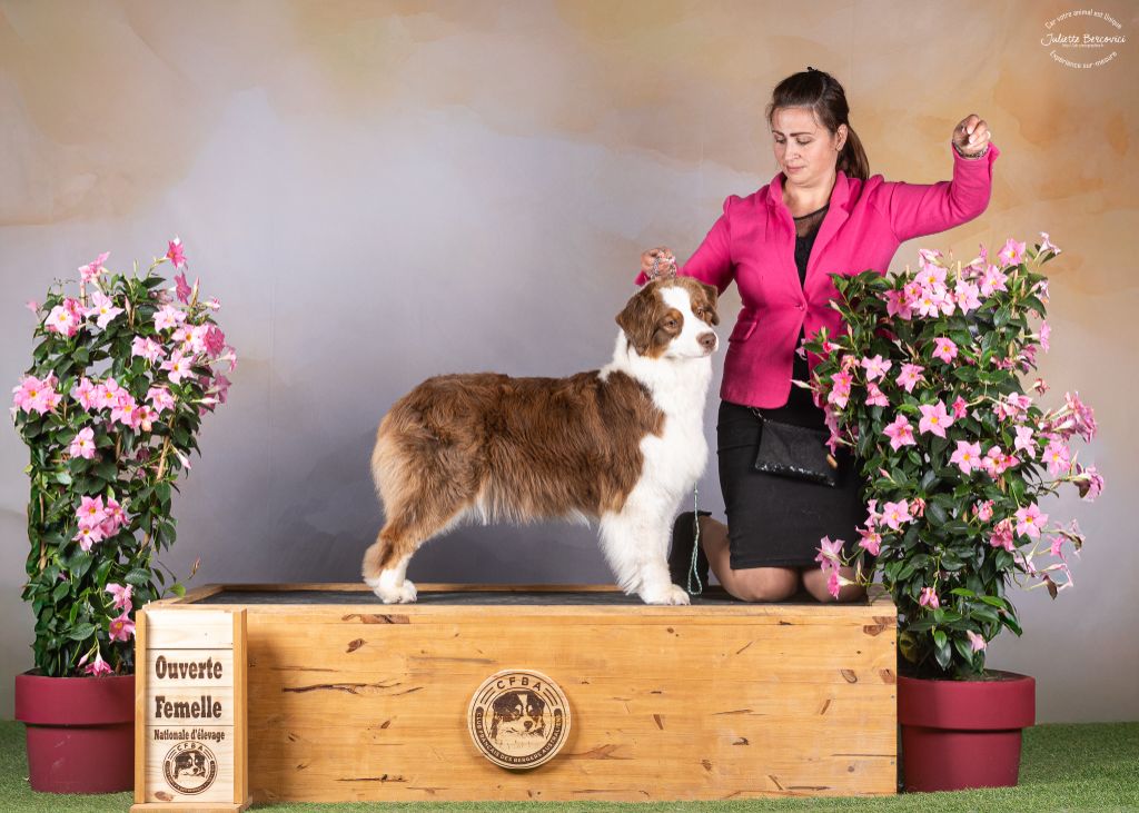 Publication : Indian Red Colours Auteur : Juliette B