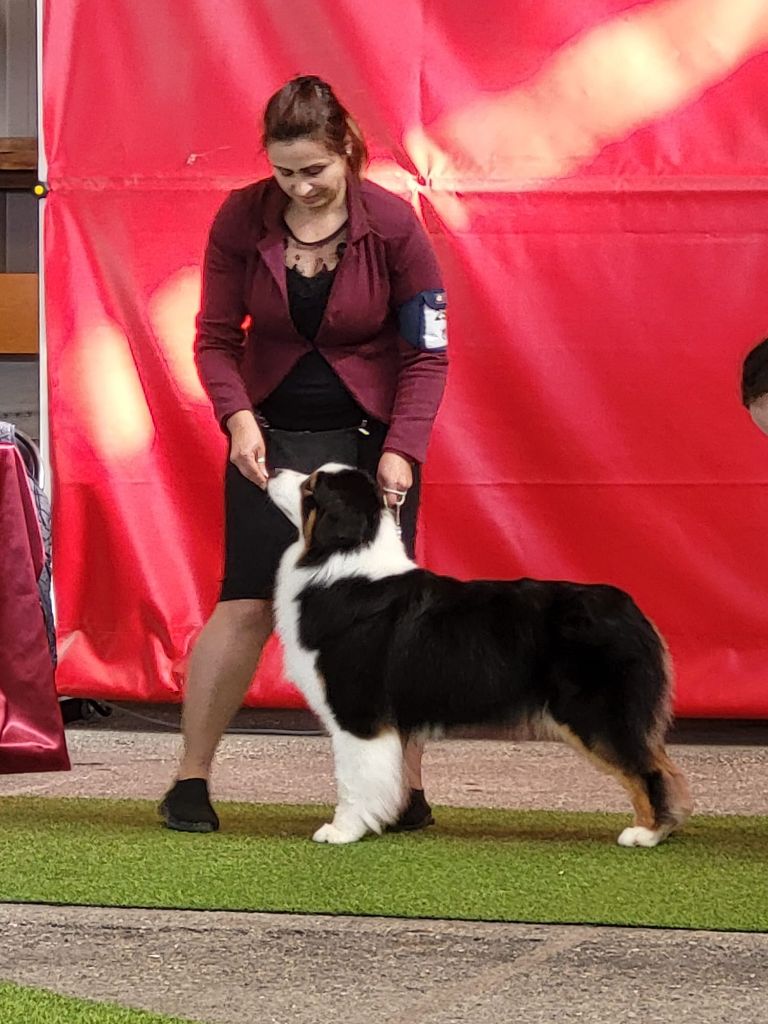 Publication : Indian Red Colours 