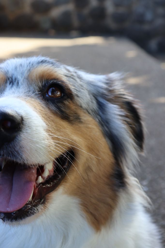 Publication : (Sans Affixe) Auteur : Rohan de @reve_de_shoot