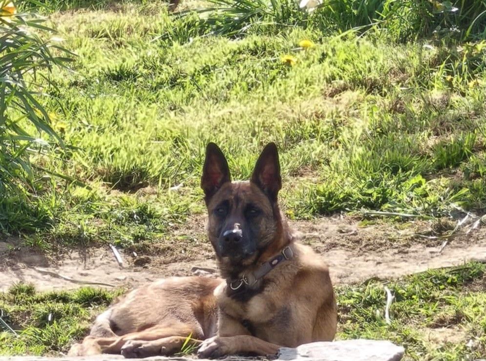 Publication : Du Domaine De Nic-max 