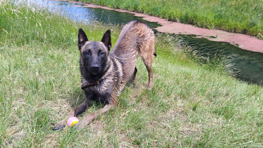  Auteur : savoie isabelle