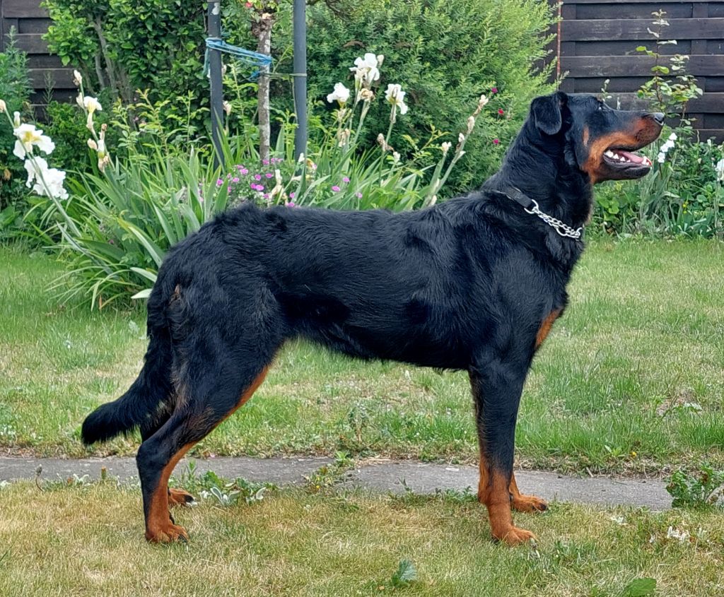 Publication : L'ami De La Campagne