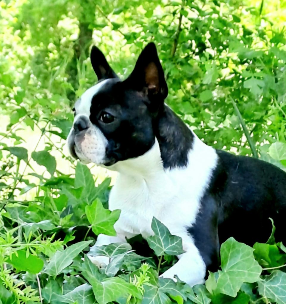 Publication : Ever Single