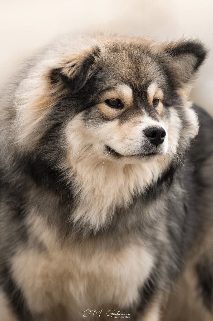 Publication : Des Secrets De Broceliande Auteur : Clarisse Jewel