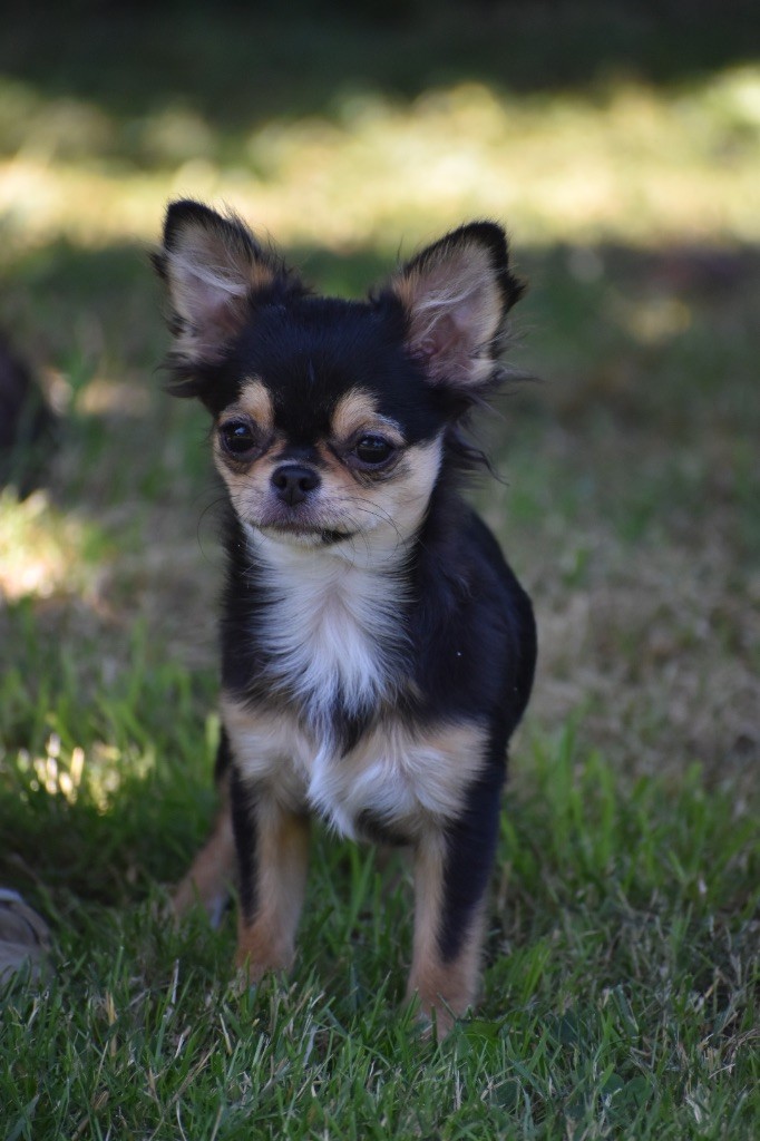 Publication : Lalie's Niños Auteur : LÃ‘K