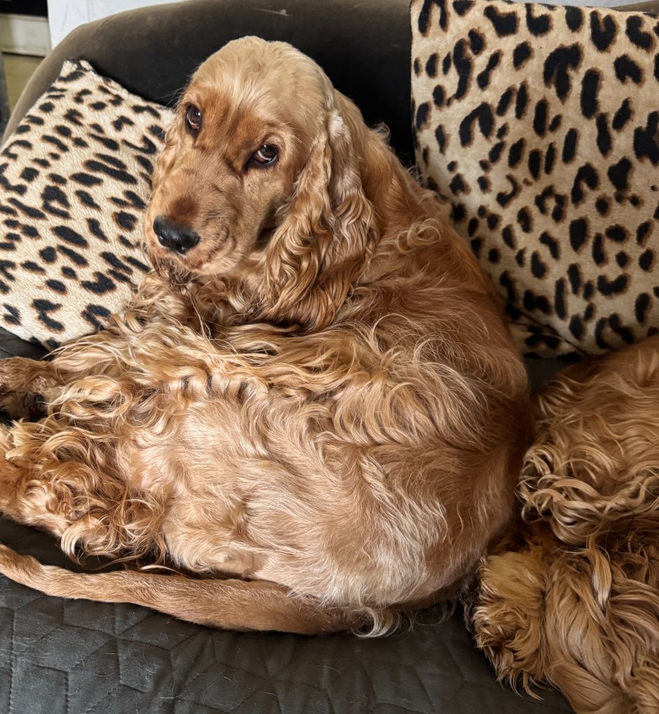 Publication : des années folles 