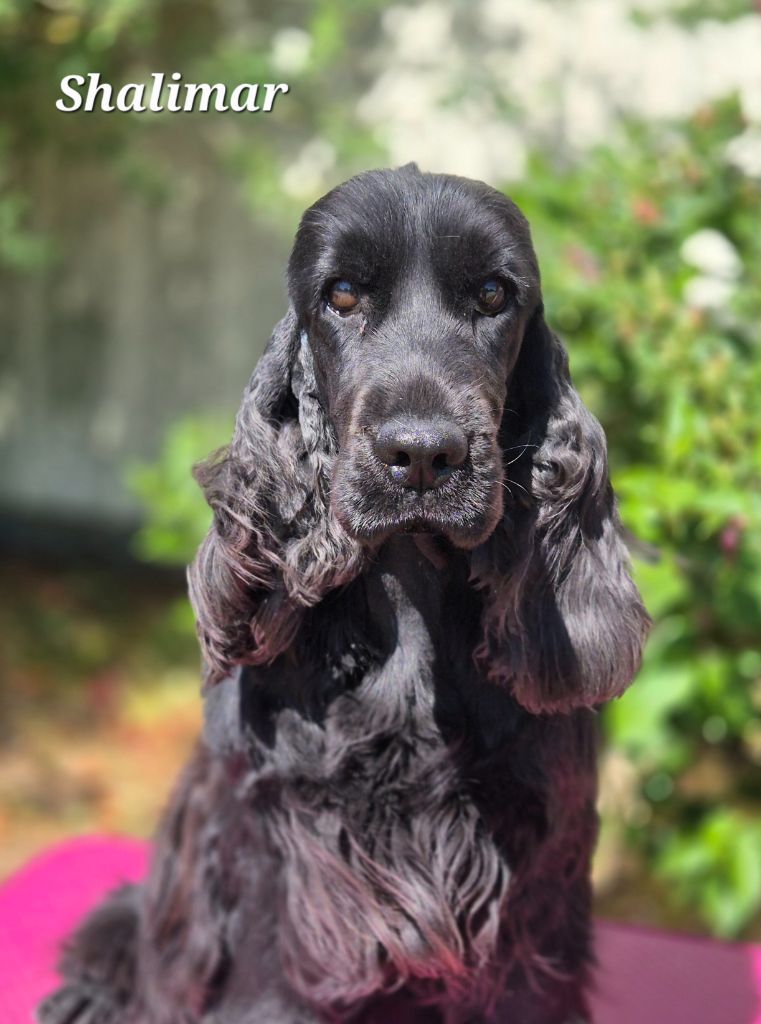 Publication : Du domaine des clayeux Auteur : ANTON Alice