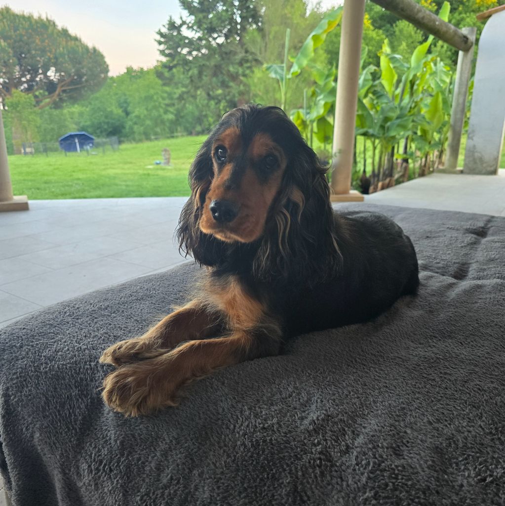 Publication : Du Domaine De La Pruneraie 