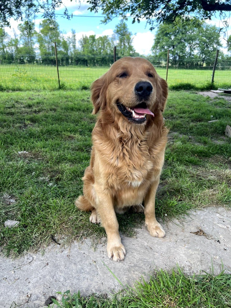 Publication : Du Domaine De Gaillard Auteur : CharlÃ¨ne Camus