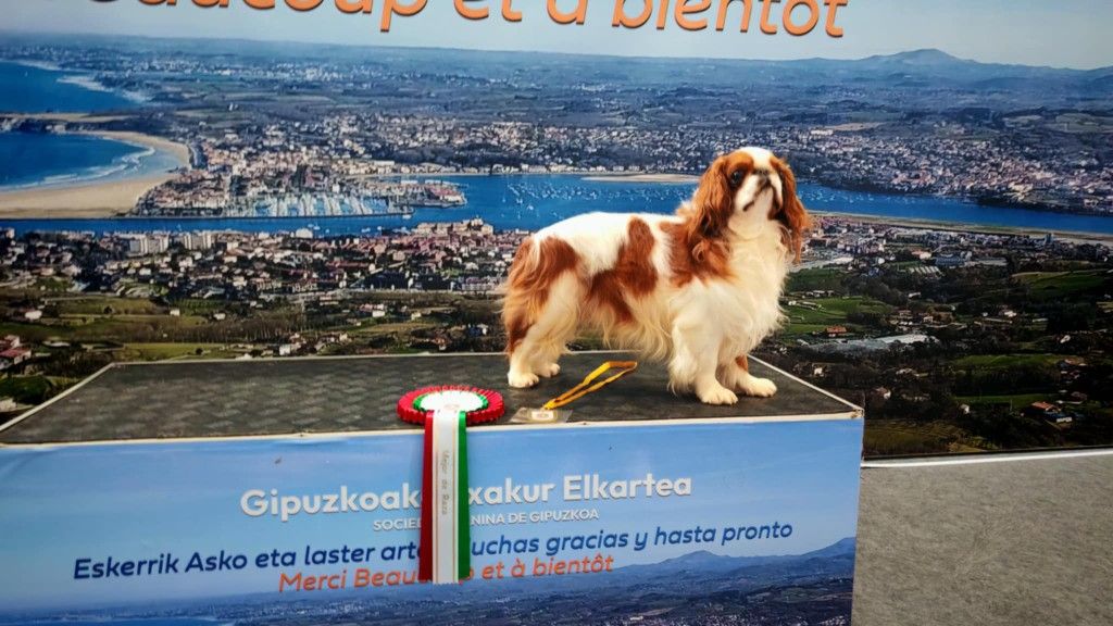 Publication : Des Rochers D'agerna