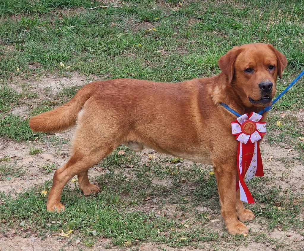 gorgeous thunderbolt maverock albamarina Maverock albamarina