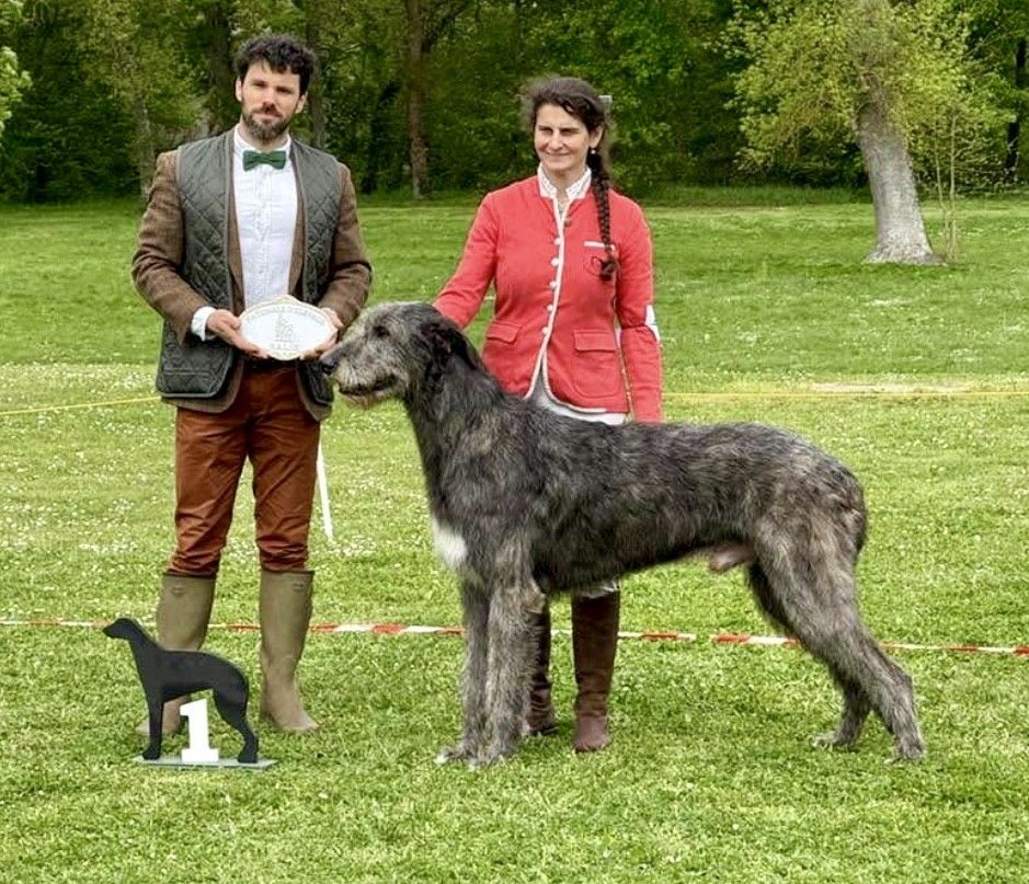 CH. Olimpo della bassa pavese