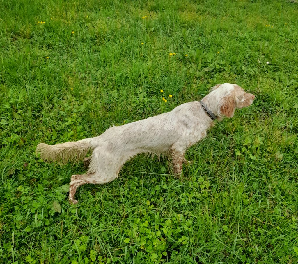 Publication : De La Riottière Auteur : Régis Ferré
