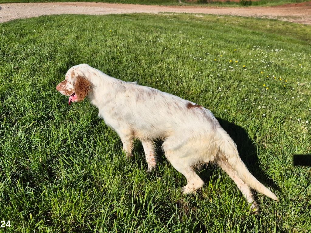 Publication : Du Roc De La Loubière 