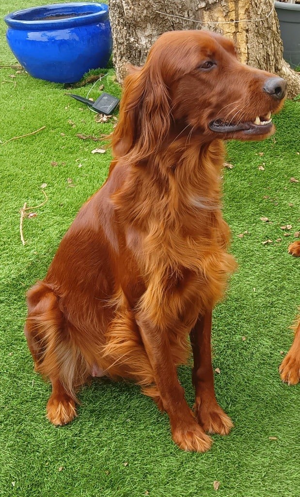 Publication : De L’Harmonie 