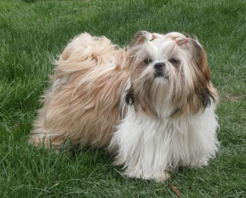 Publication : Kakou de Neguyland Auteur : Laetitia Boineau