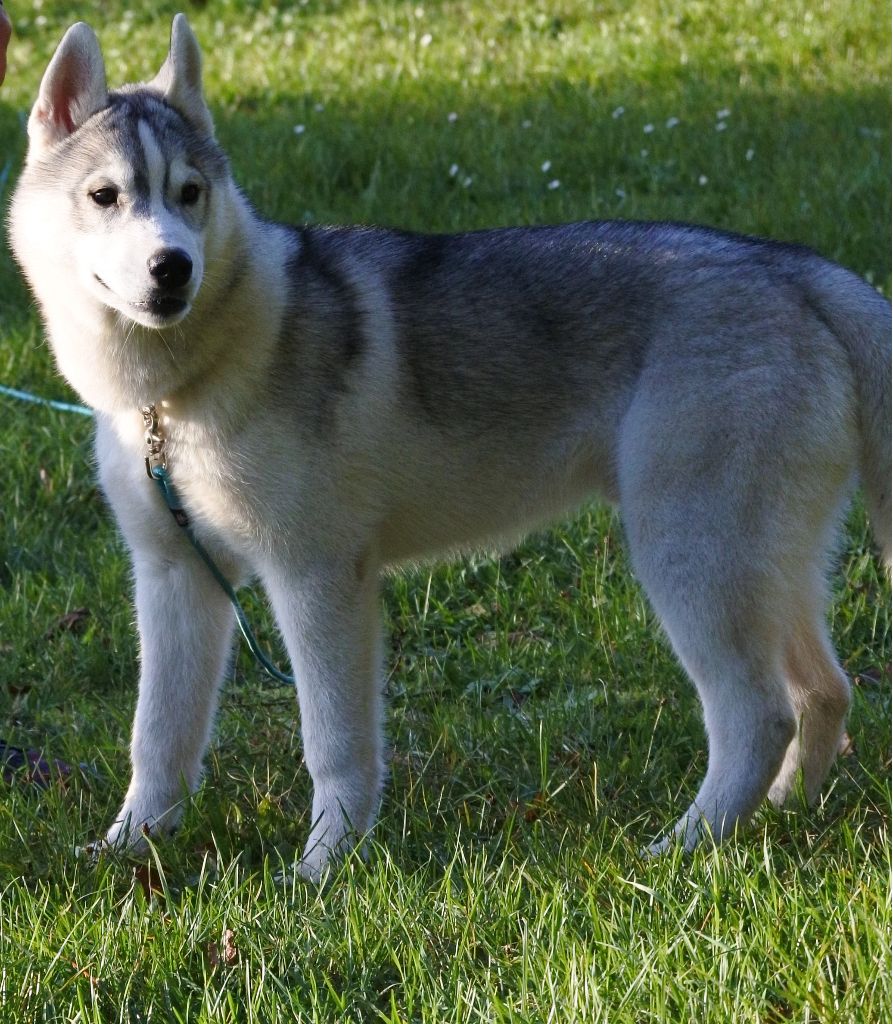 Publication : Living My Wildest Dreams 