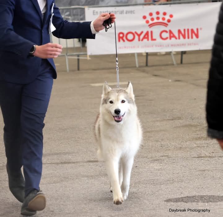 Publication : de Daybreak Northern 