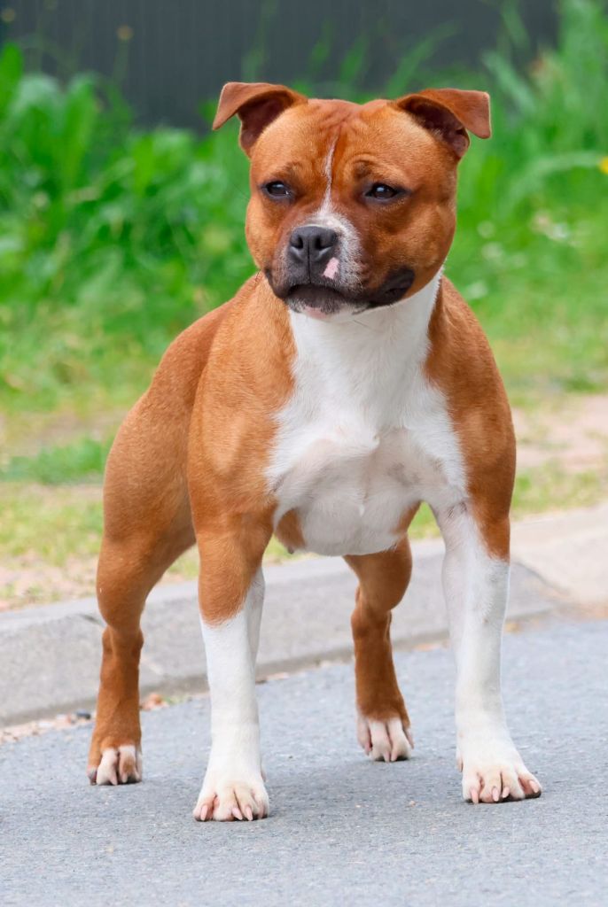 Publication : Of Heart's Ghosts 