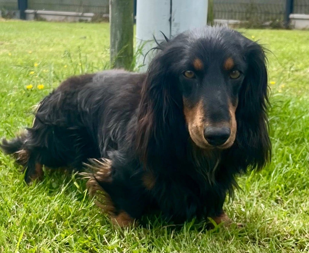 Publication : Des Vents D'Océan 