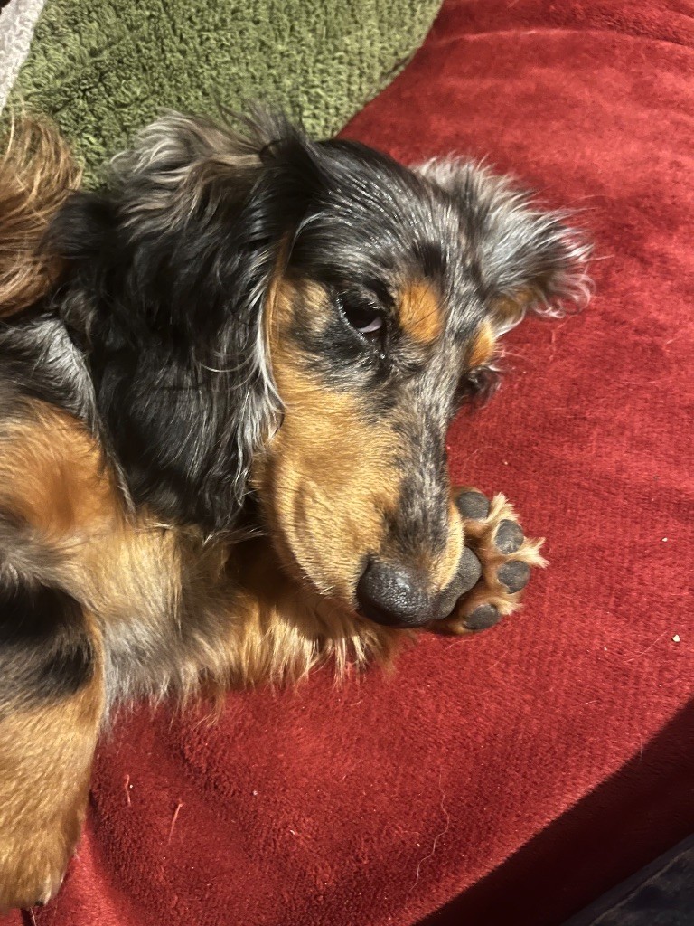 Publication : (Sans Affixe) 