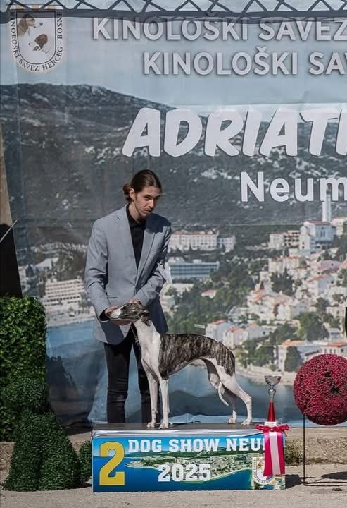 Publication : the New Life Des Collines Noires 