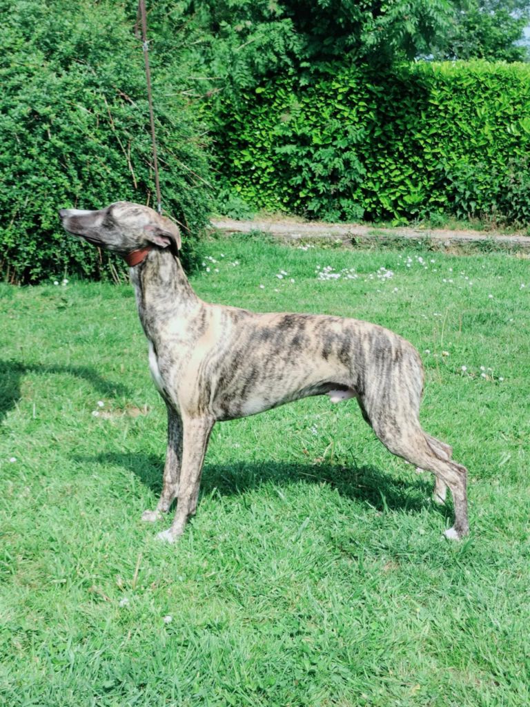 Publication : the New Life Des Collines Noires 