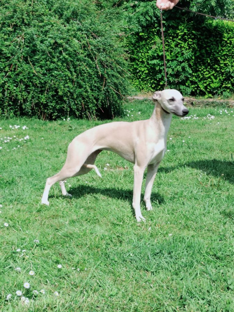 Publication : the New Life Des Collines Noires 