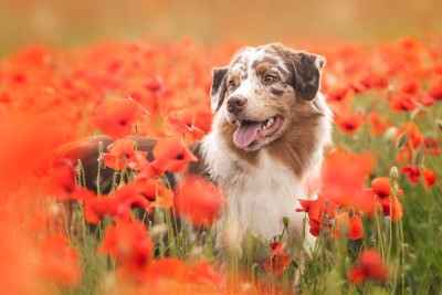 image de Ultim temptation