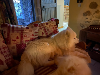 Utane De La Ferme Aux Corneilles