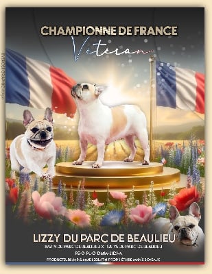 Étalon Bouledogue français - Lizzy Du Parc De Beaulieu
