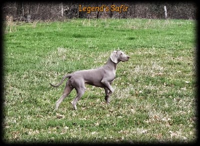 image de Uni'dream upper martouf