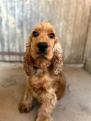 Tixi Du Chemin Du Marais Calme