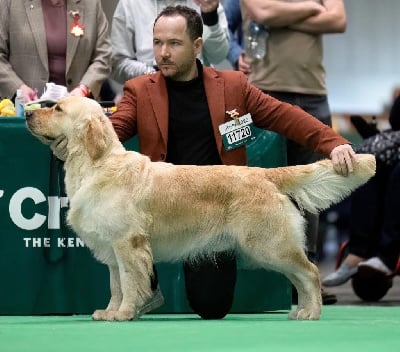 Top gun du Domaine des Rives de l'Erdre