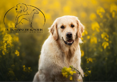 image de Vamos vamos a bonavis