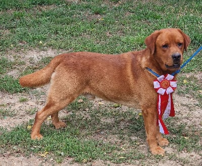 image de Maverock albamarina