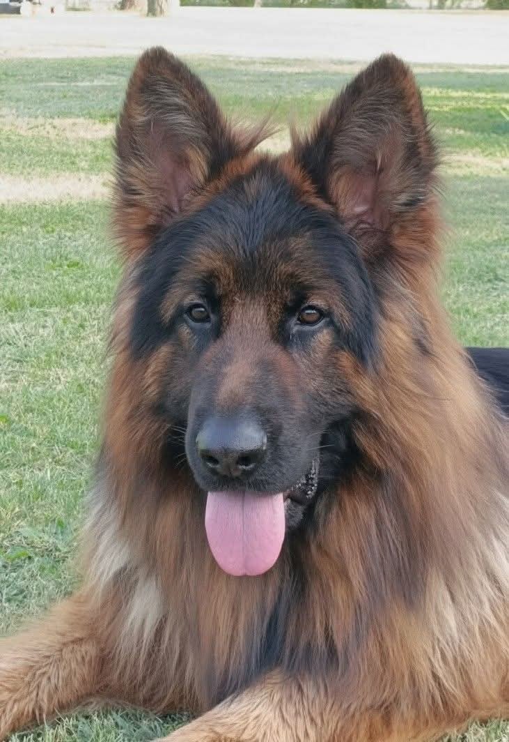 Publication : du domaine de janasse Auteur : Mme Bonet Christine