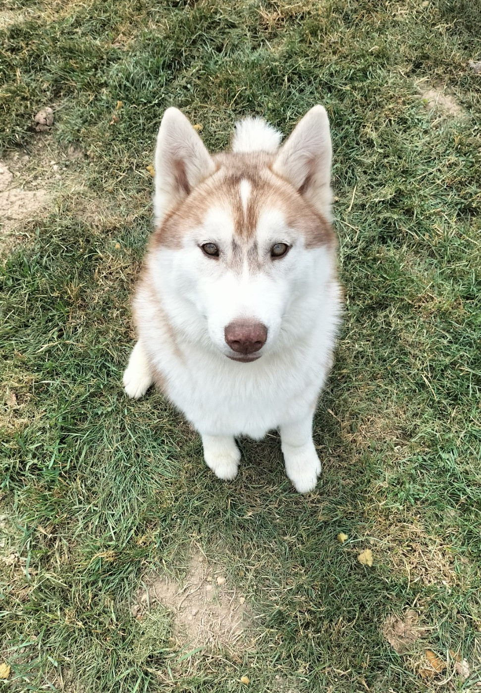 Publication : Lc-katzonoyabi 