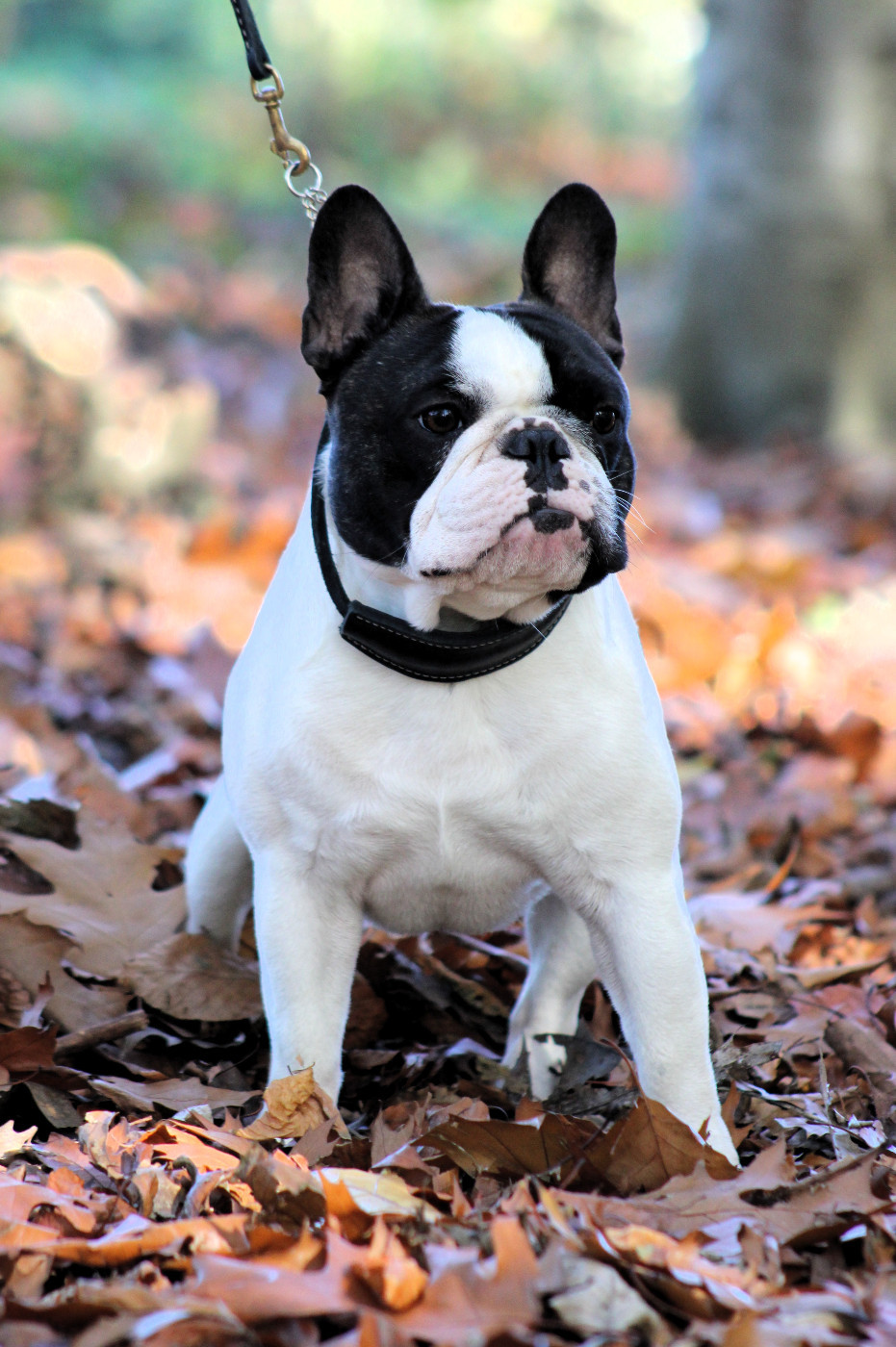 Publication : One Way Ticket