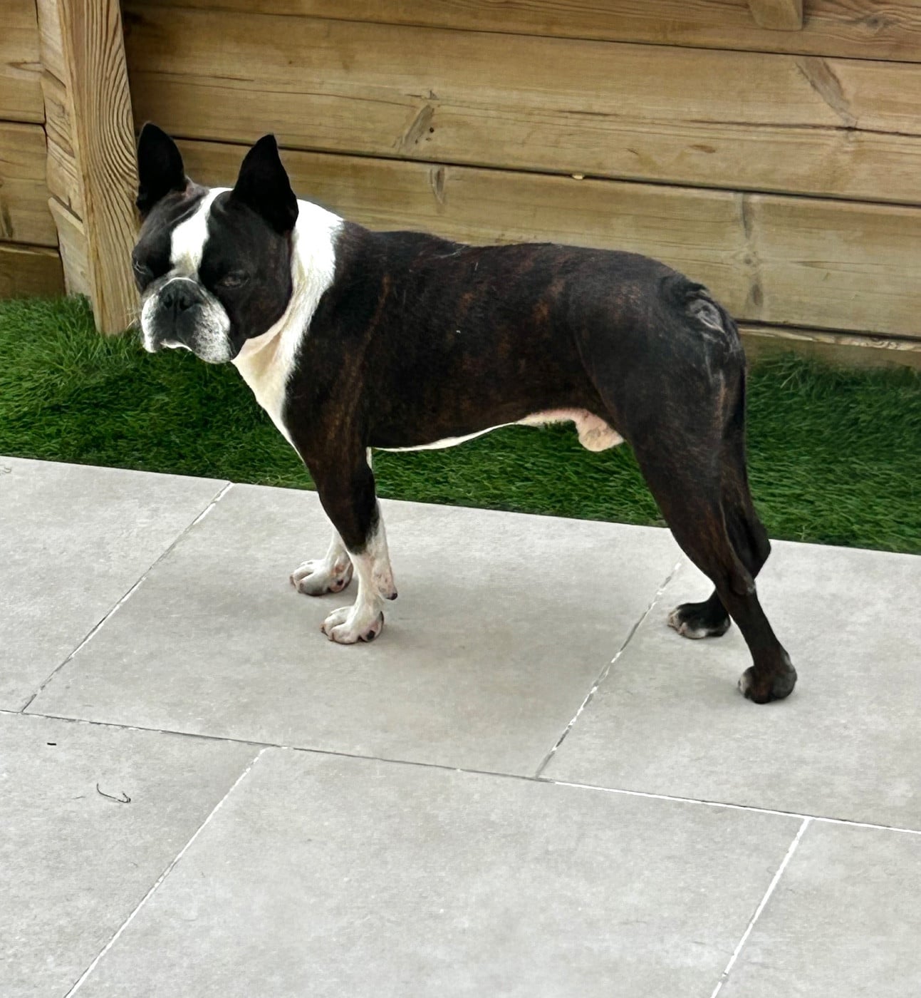 Publication : Les Gardiens Du Pitchoun 