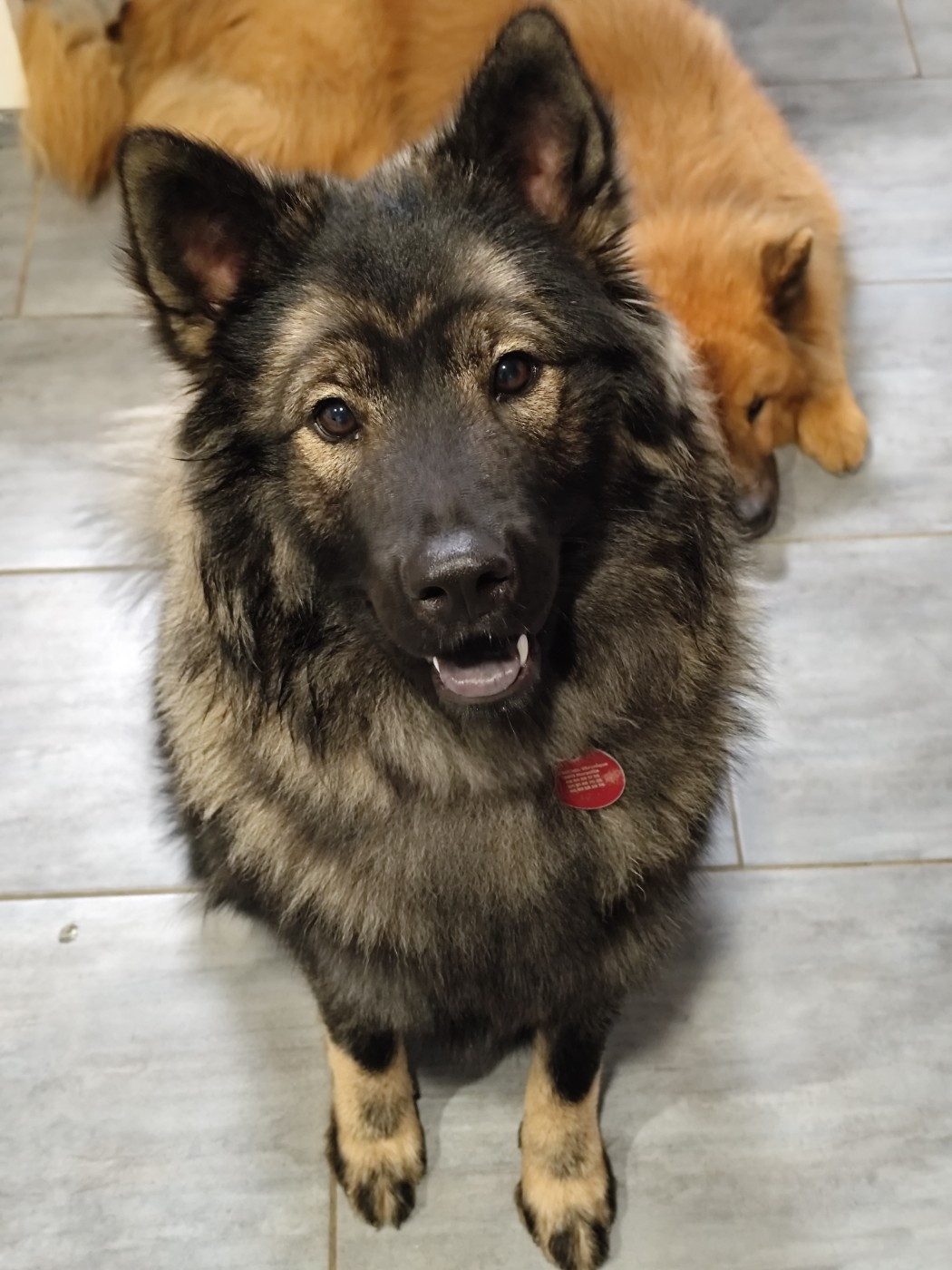 Publication : Du Val De La Fenouillere Auteur : V. MICHEL