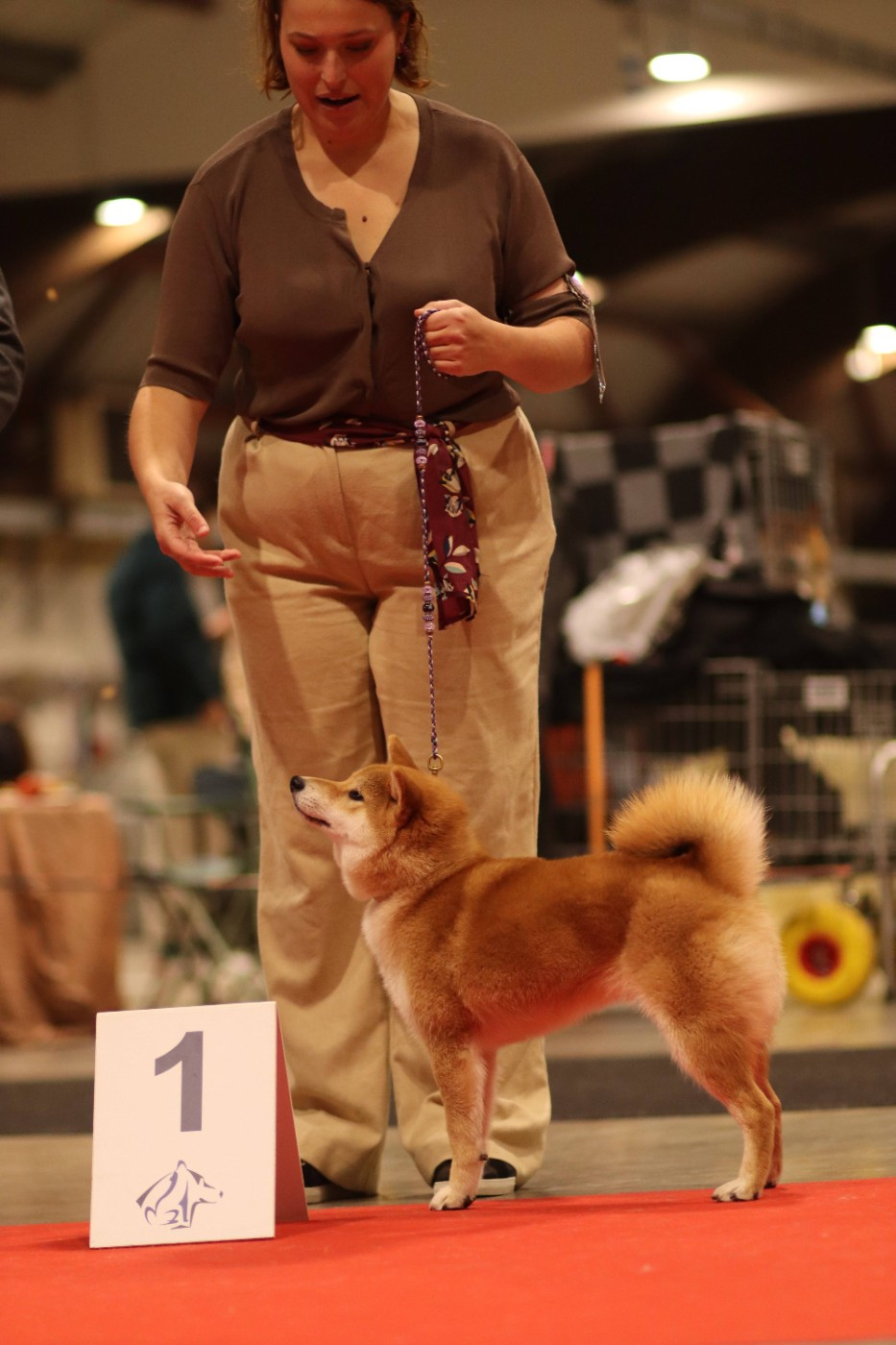 Publication : Go Yume No Sekai 