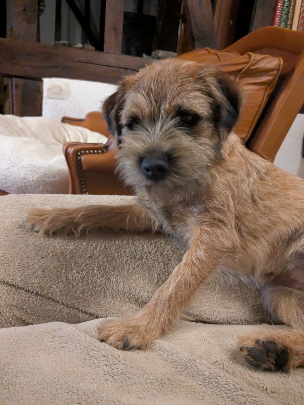 Publication : d'Hixa's Stories