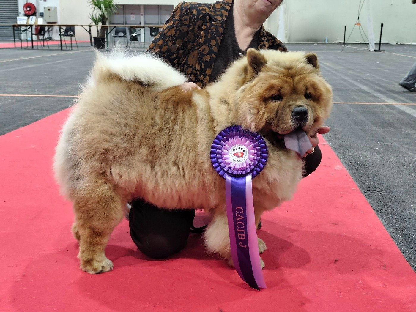 Publication : De La Rivière Au Soleil