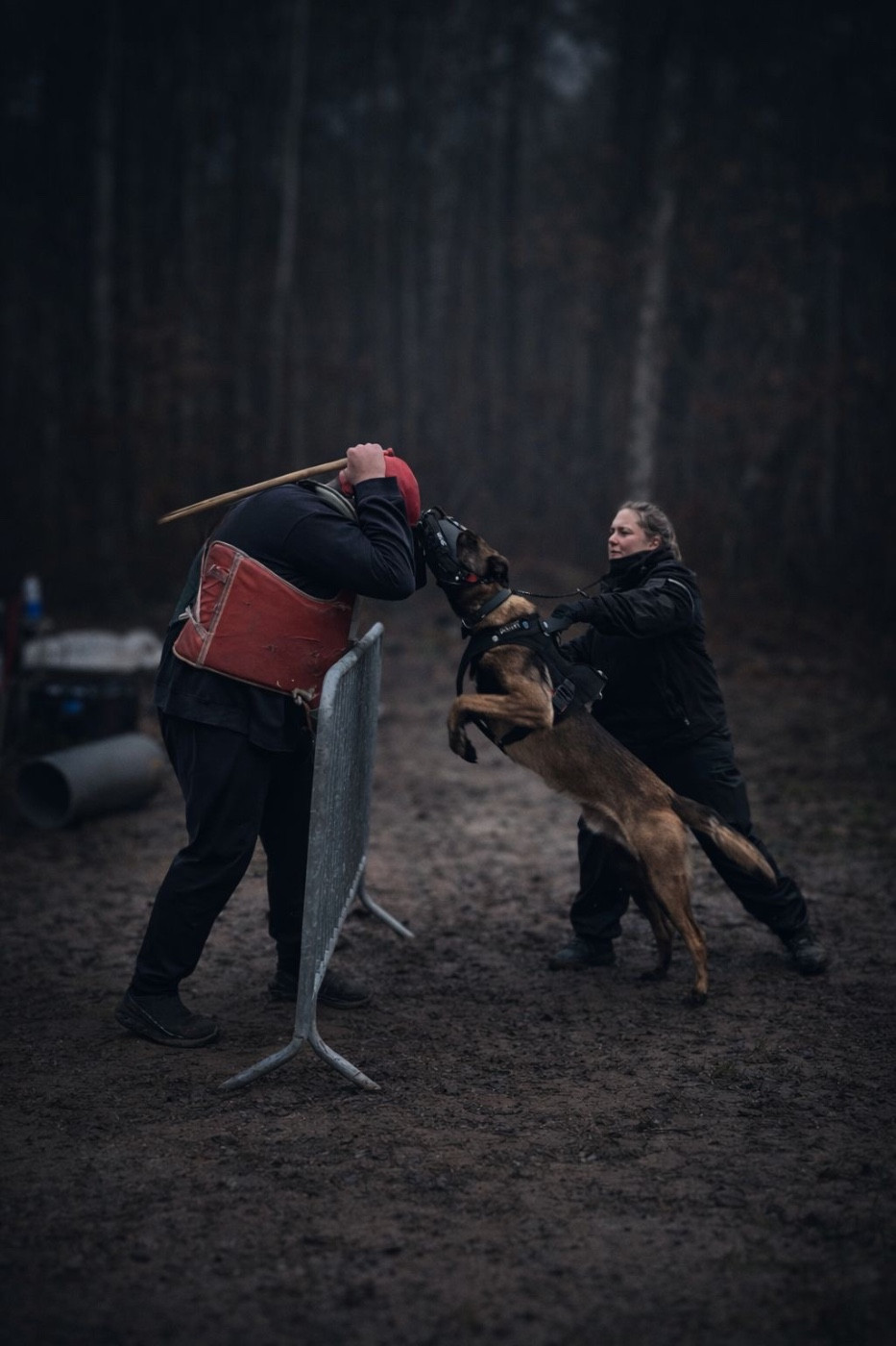 Publication : Des Crocs Noirs 