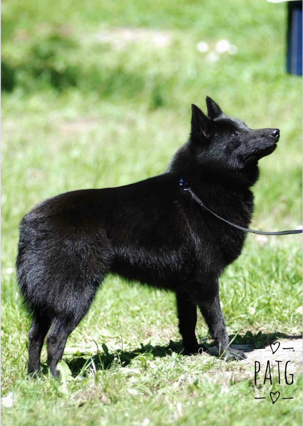 Publication : du Mas de Valaurine 