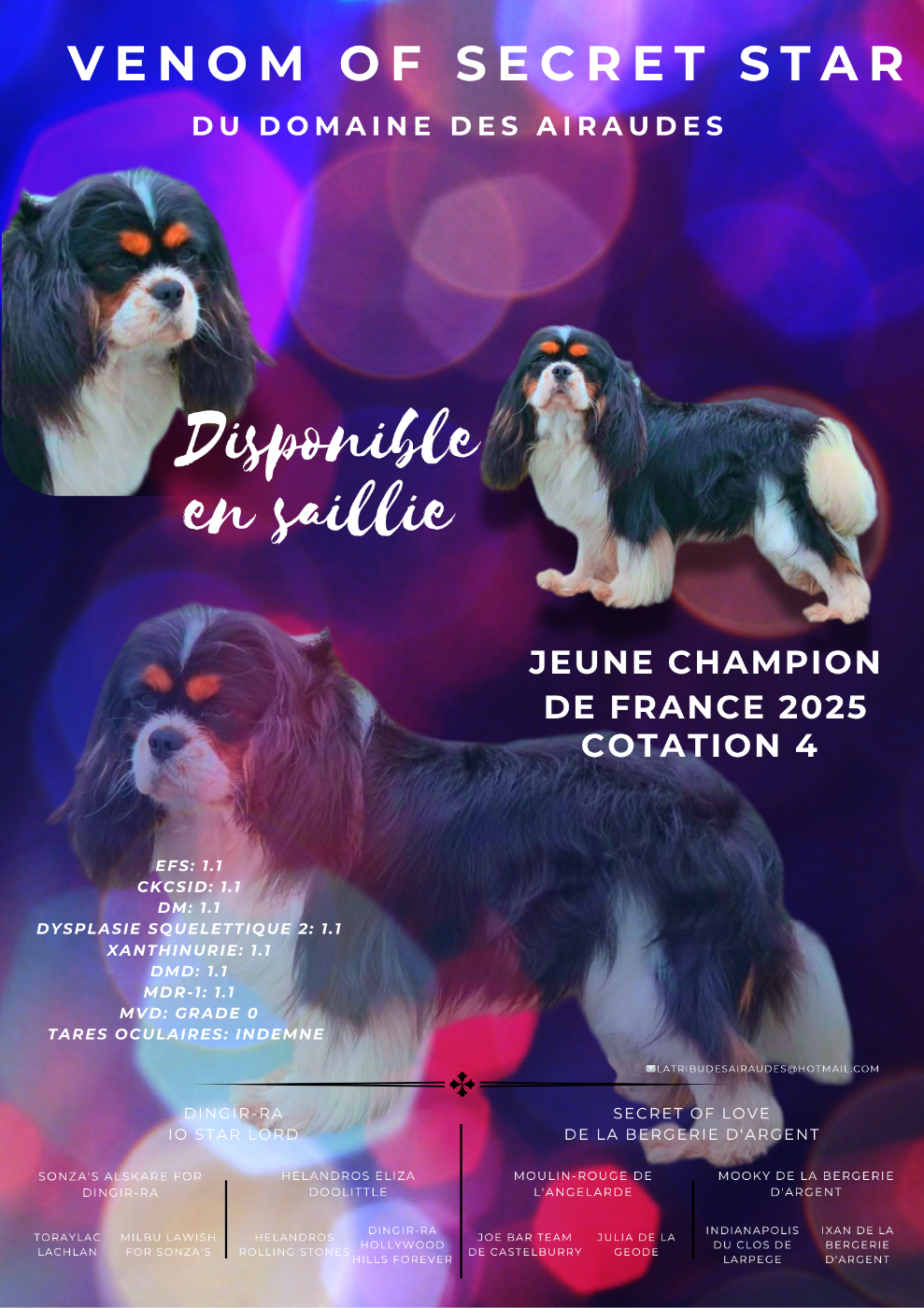 Publication : du Domaine des Airaudes Auteur : La Tribu des Airaudes