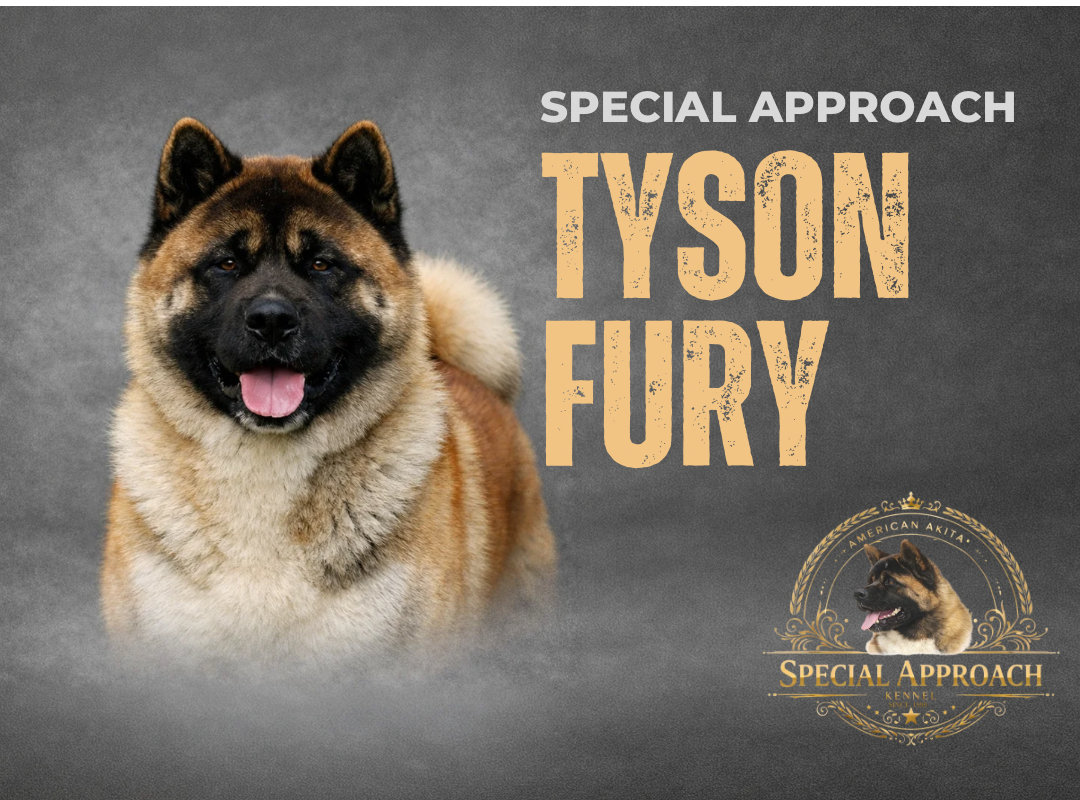 Publication : Special Approach