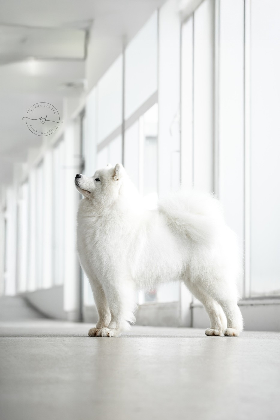 Publication : Of Isac Snowflake Auteur : Photographe : Vérène Sutter