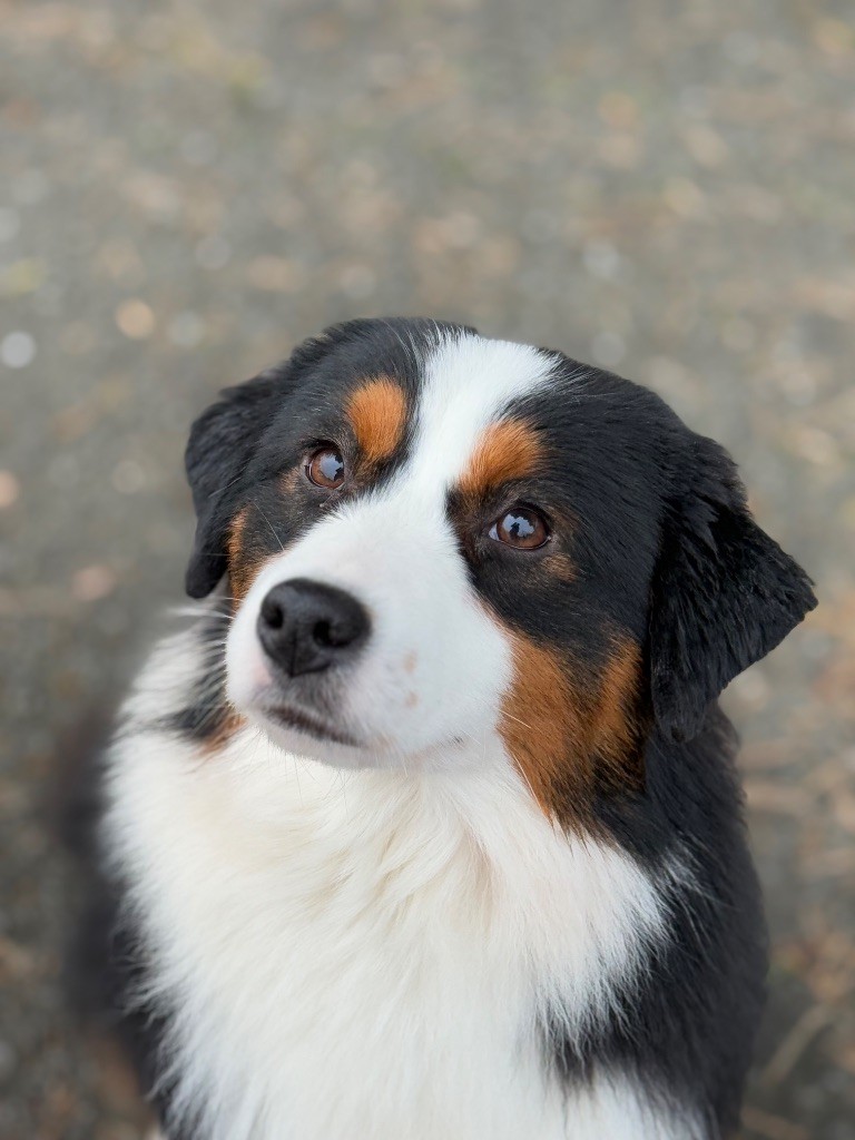 Publication : Blue Pearl Legacy's 